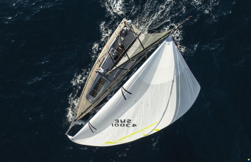 Shogun 43