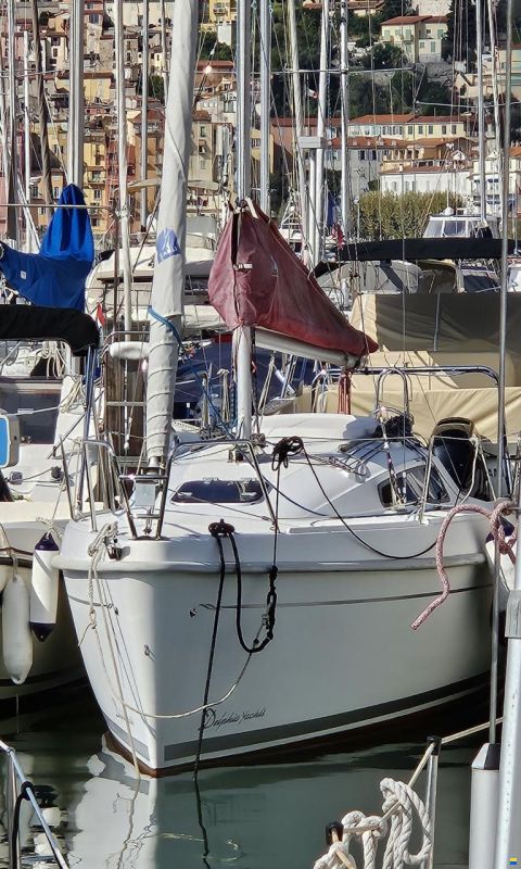 Delphia 24