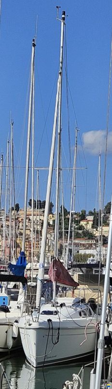 Delphia 24