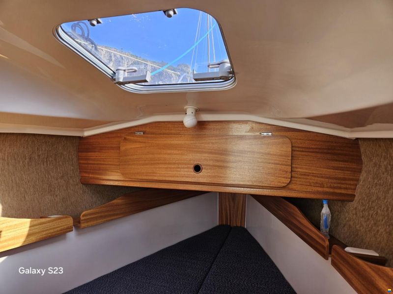 Delphia 24