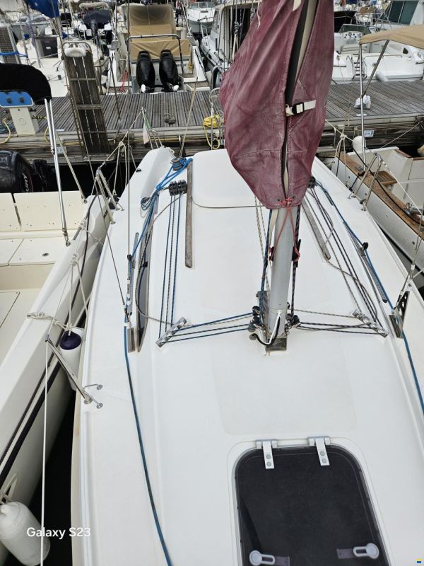 Delphia 24