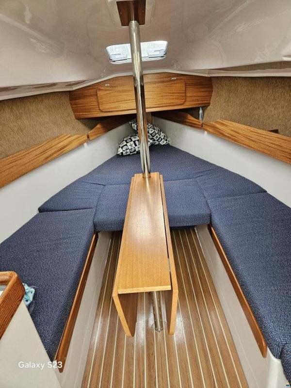Delphia 24