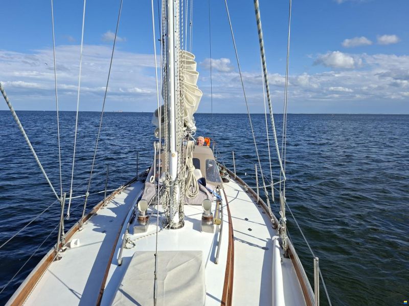 Illingworth & Primrose Belmore I