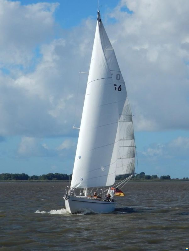 Illingworth & Primrose Belmore I