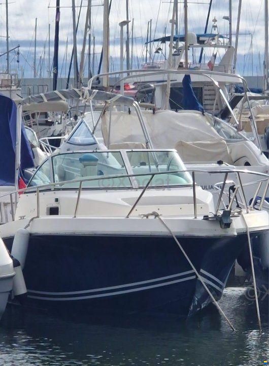 Kelt WHITE SHARK 237