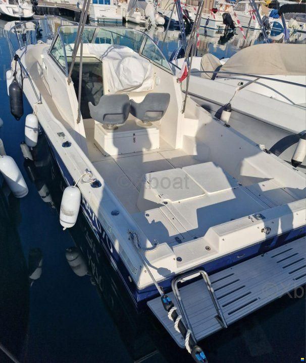 Kelt WHITE SHARK 237