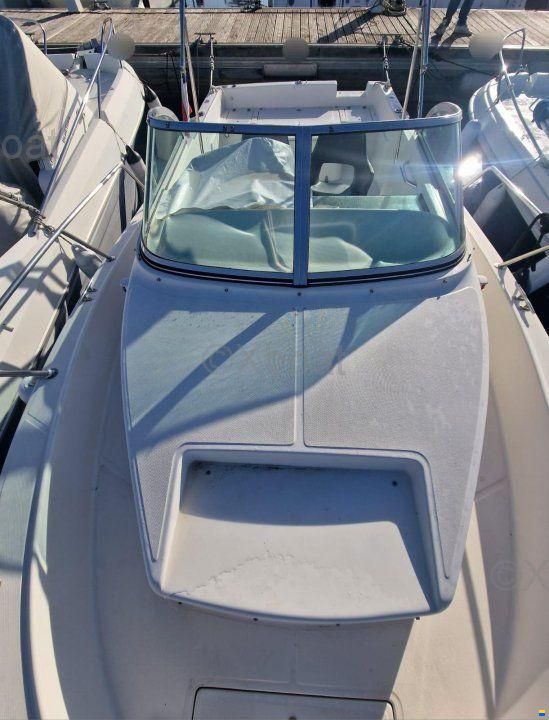 Kelt WHITE SHARK 237