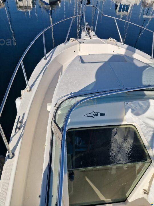 Kelt WHITE SHARK 237