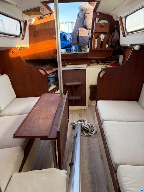 Olsen 29