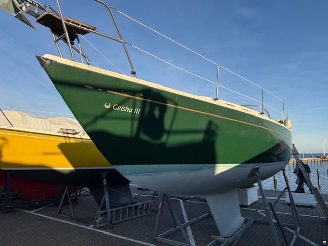 Olsen 29