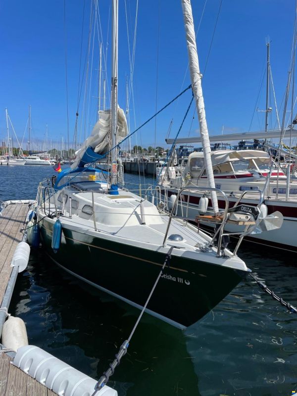 Olsen 29