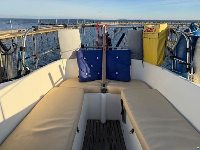 Olsen 29