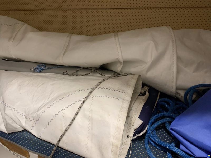 Delphia Sportina 680