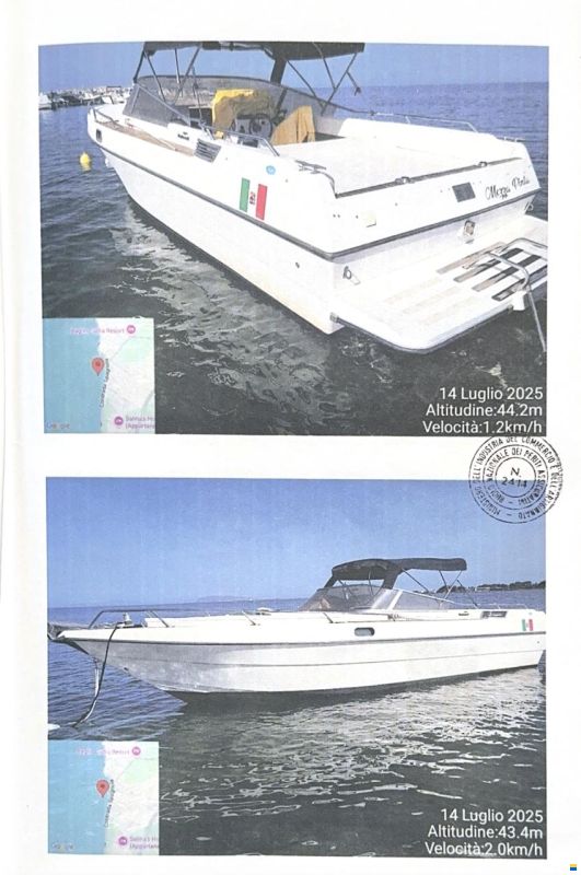 Petteruti Kocis 29