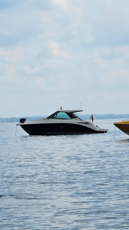 Sea Ray 320 Sundancer Coupe