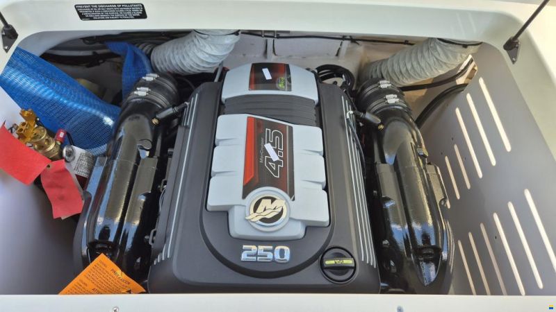 Sea Ray SPX 190 R Europa