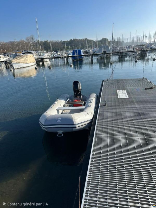 Zodiac Cadet 310 Solid