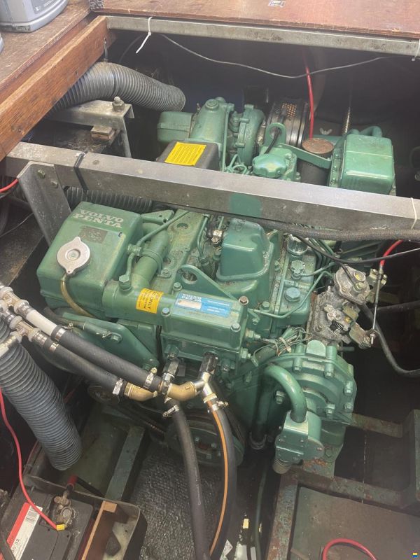 Coronet Capitan 31