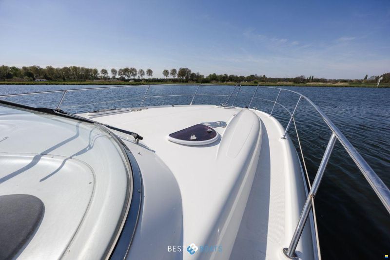 Bavaria Sport 35