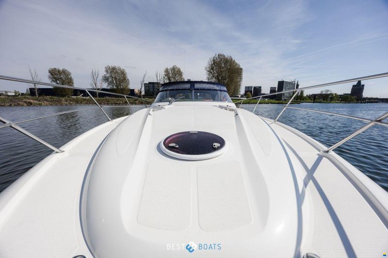 Bavaria Sport 35