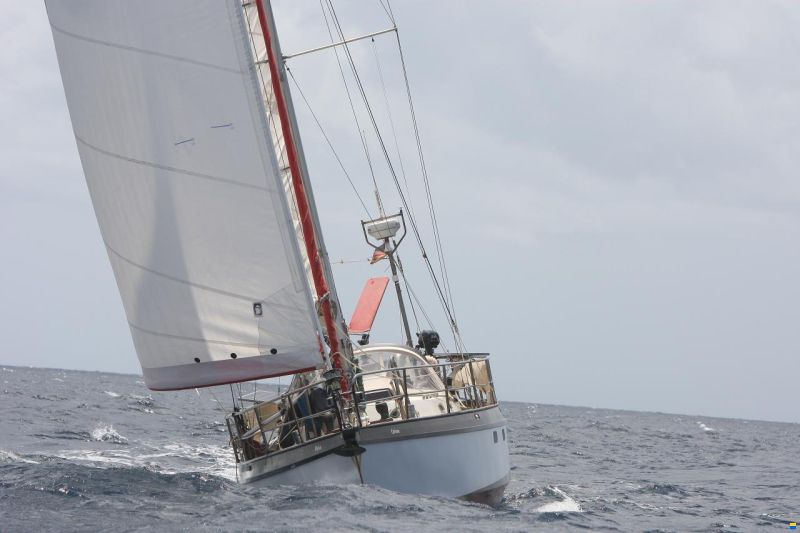 Koopmans Vanguard 11.50
