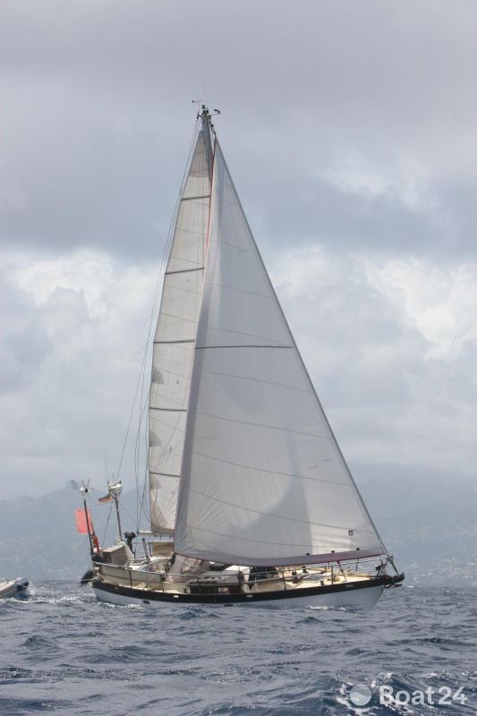 Koopmans Vanguard 11.50