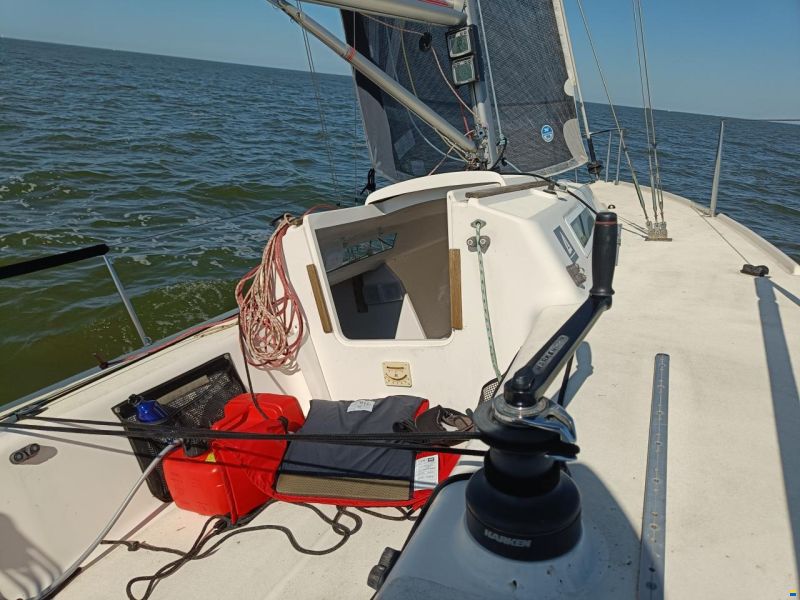 J Boats J/80
