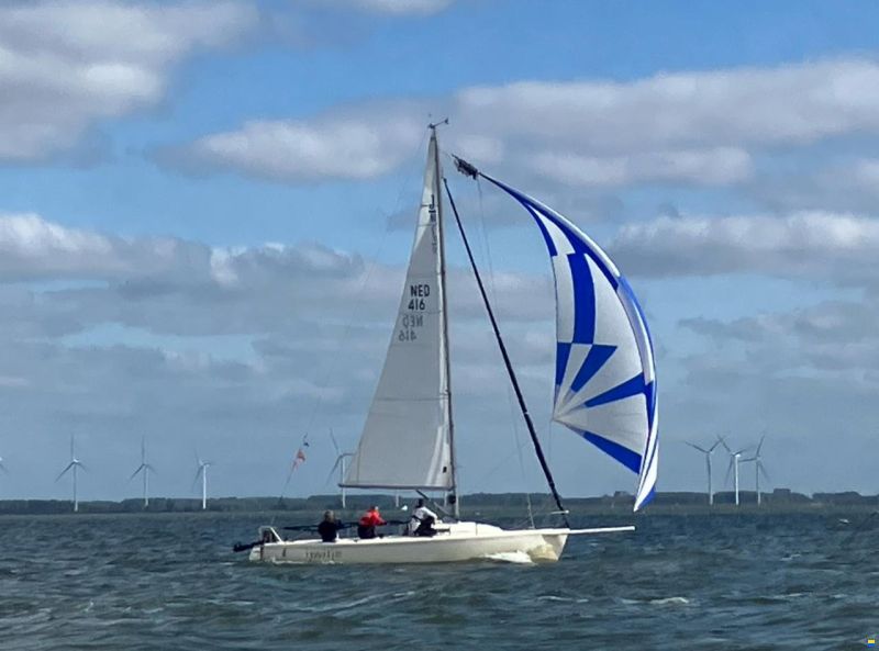 J Boats J/80
