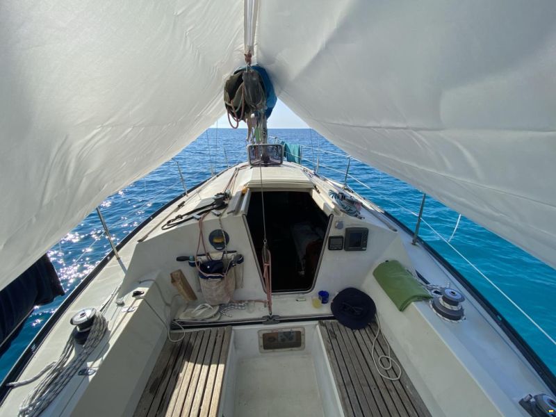 Dufour 3800