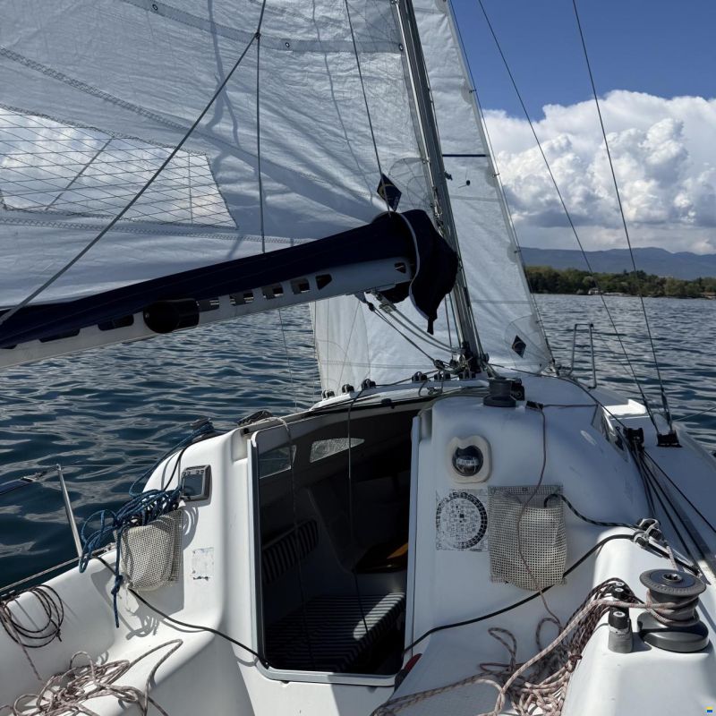 Archambault Surprise