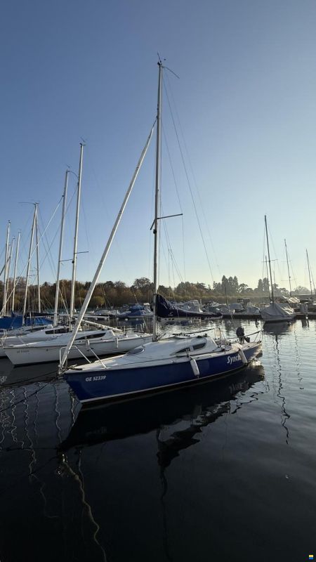 Archambault Surprise