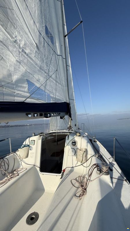 Archambault Surprise