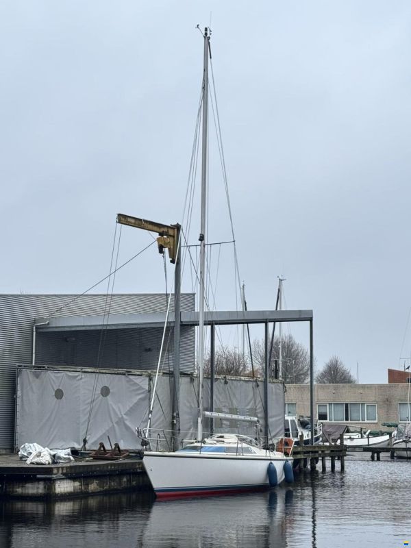 Dehler Optima 101