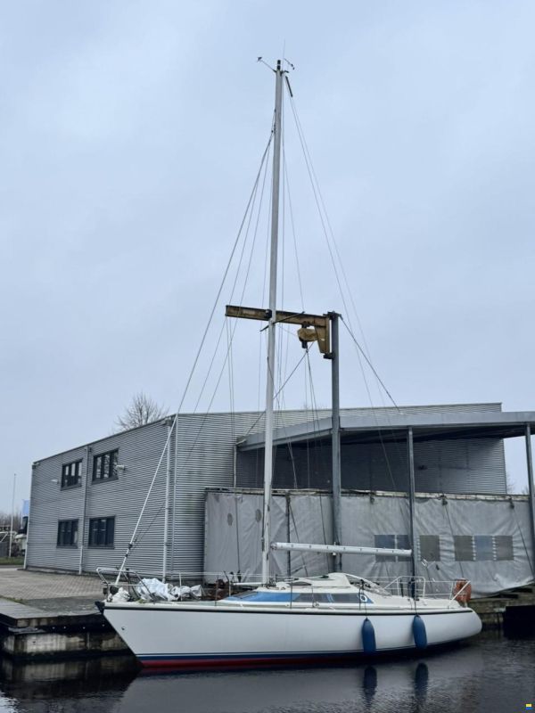 Dehler Optima 101