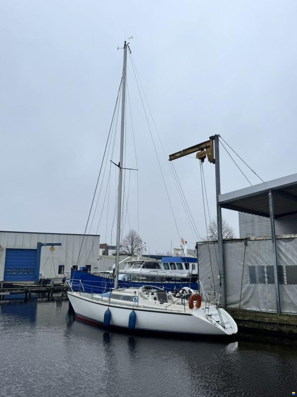Dehler Optima 101