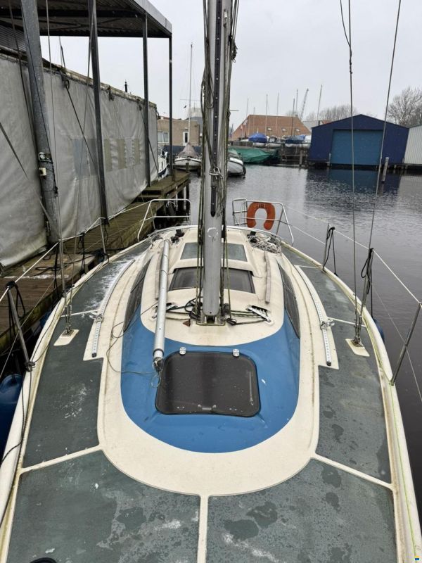 Dehler Optima 101