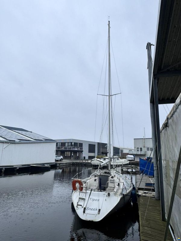 Dehler Optima 101