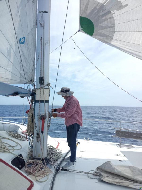 Baltec Visiona 44