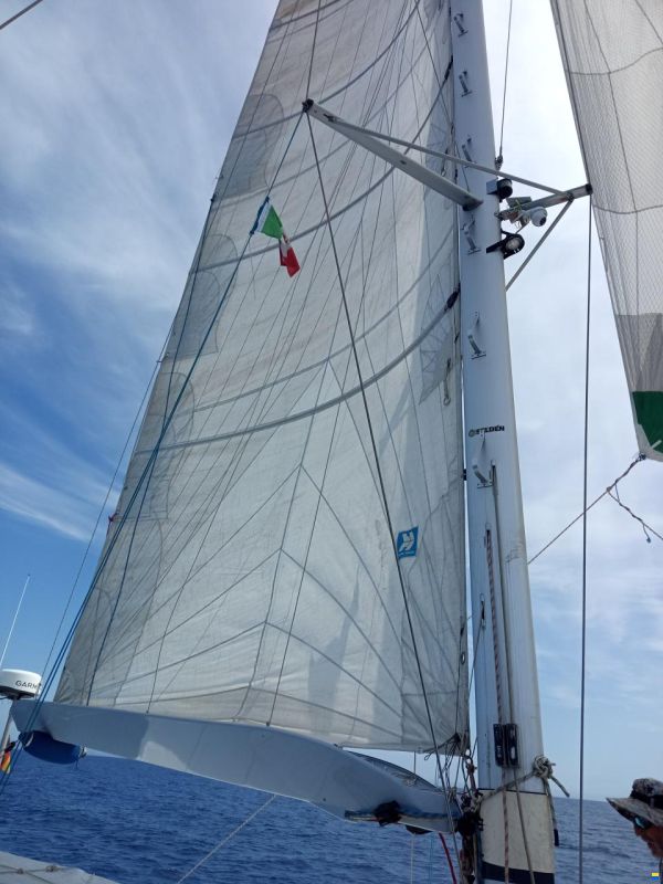 Baltec Visiona 44
