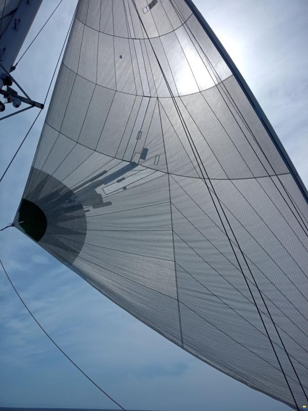 Baltec Visiona 44