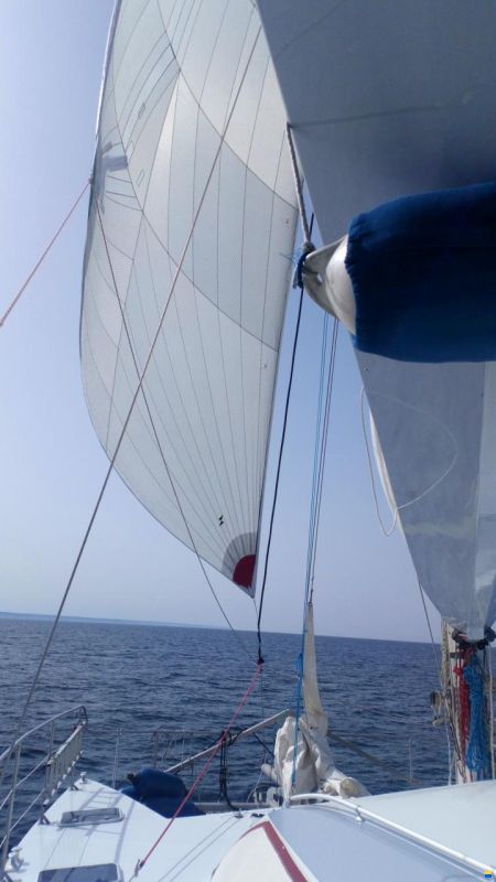 Baltec Visiona 44