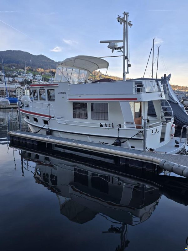 Pedro Bora 38 Berlin