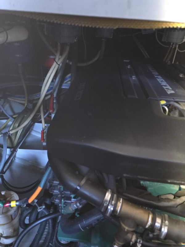 Pedro Bora 38 Berlin