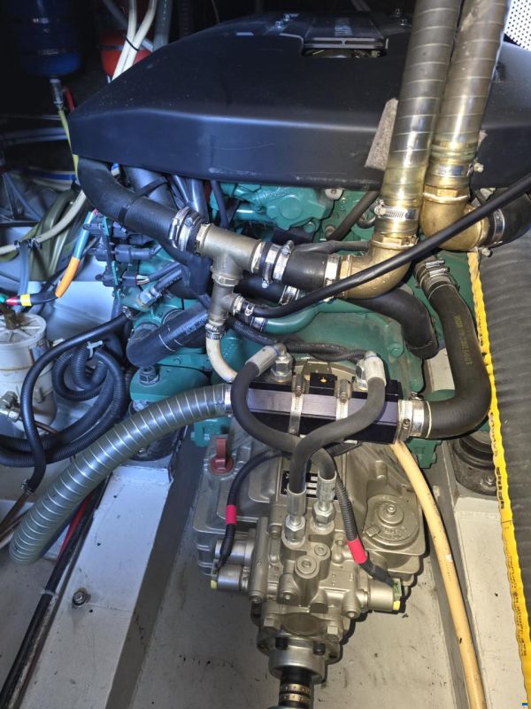 Pedro Bora 38 Berlin