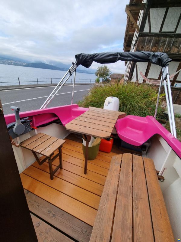 Chrisidon Microplus 501