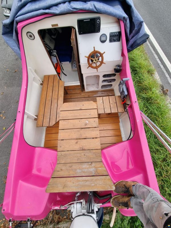 Chrisidon Microplus 501