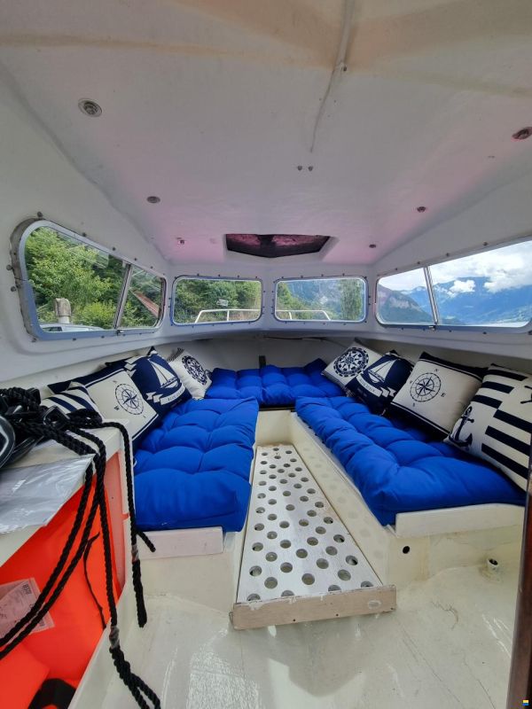 Chrisidon Microplus 501