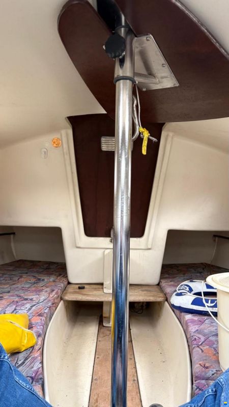 BWC Flying Cruiser F - family Sportversion