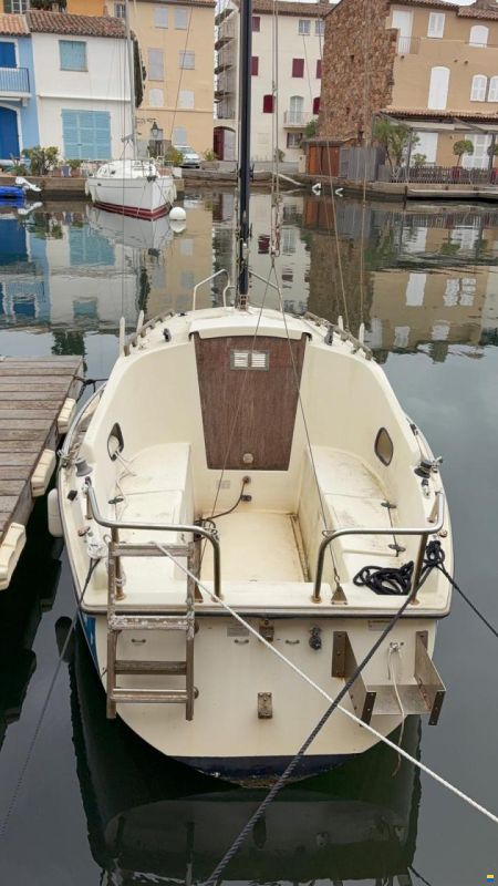 BWC Flying Cruiser F - family Sportversion