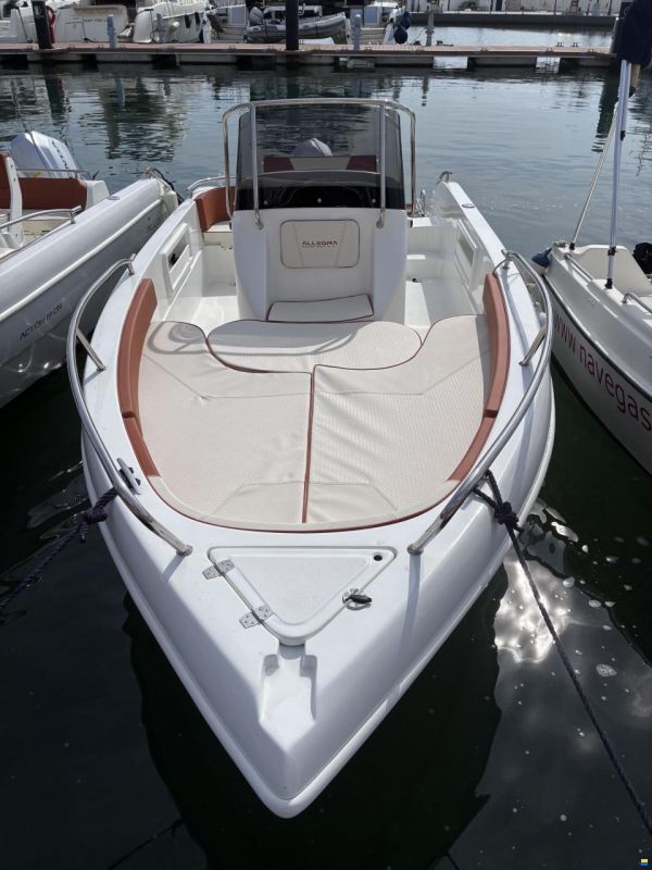 Allegra 19d